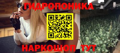 стафф Кимры