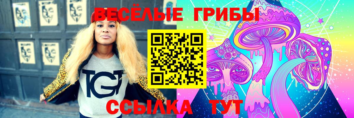 Кандалакша  Галлюциногенные грибы прущие грибы  Вход с VPN 